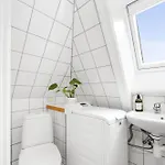 Apartment Center With Teracce Bergen